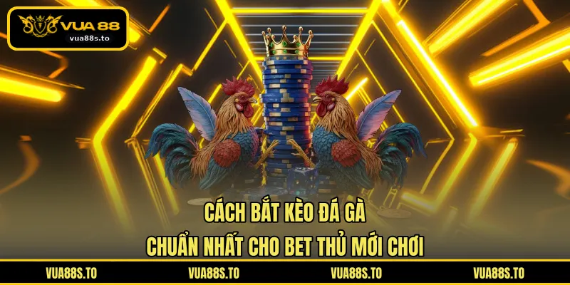 Cách Bắt Kèo Đá Gà
