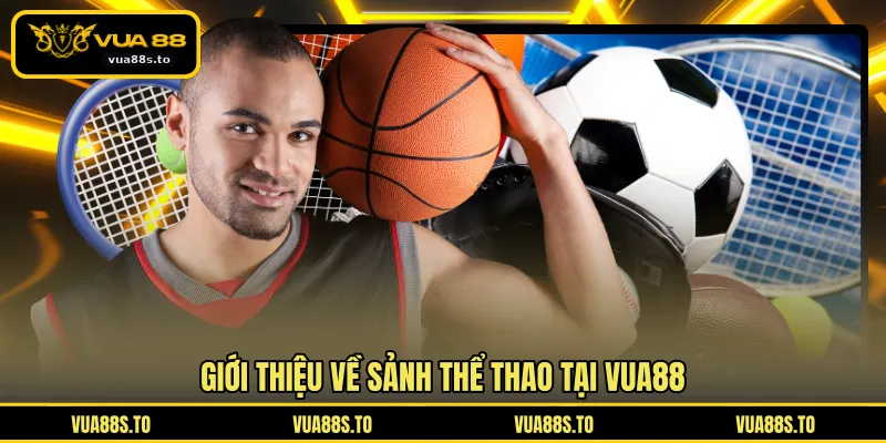 Giới thiệu về sảnh thể thao tại VUA88