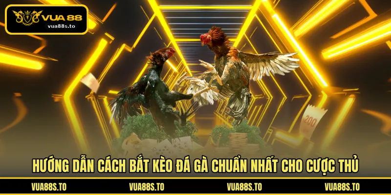 Hướng dẫn cách bắt kèo đá gà chuẩn nhất cho cược thủ