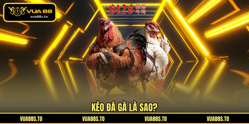 Kèo đá gà là sao?