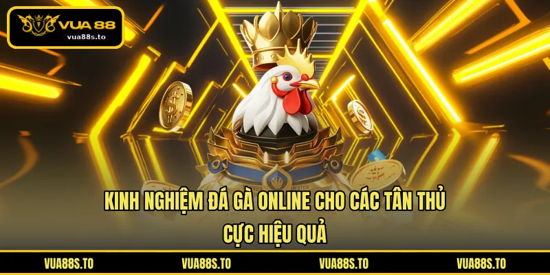 Kinh Nghiệm Đá Gà Online Cho Các Tân Thủ