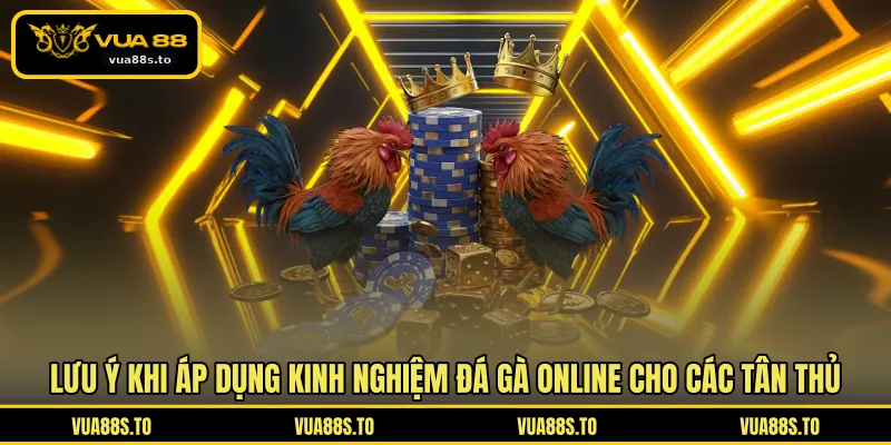 Lưu ý khi áp dụng kinh nghiệm đá gà online cho các tân thủ