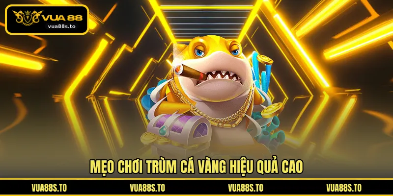 Mẹo chơi trùm cá vàng hiệu quả cao