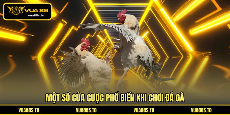 Một số cửa cược phổ biến khi chơi đá gà