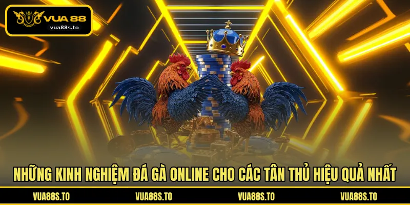 Những kinh nghiệm đá gà online cho các tân thủ hiệu quả nhất