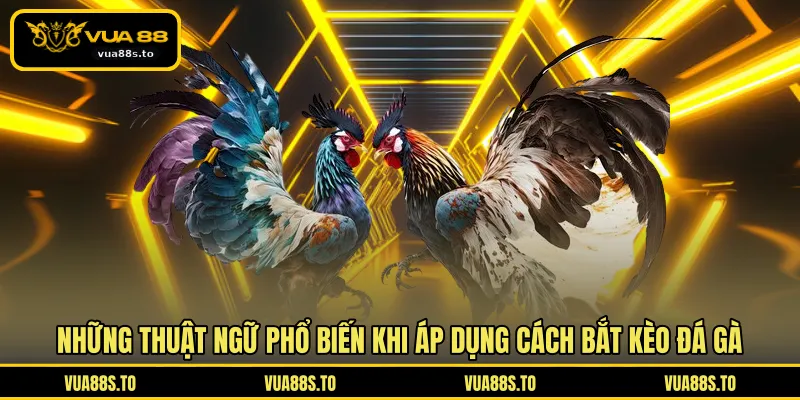 Những thuật ngữ phổ biến khi áp dụng cách bắt kèo đá gà